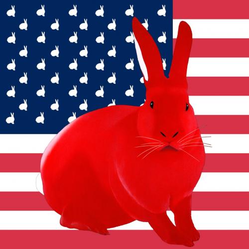 ROUGE FLAG rabbit flag Showroom - Inkjet on plexi, limited editions, numbered and signed. Wildlife painting Art and decoration. Click to select an image, organise your own set, order from the painter on line